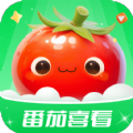 番茄喜看app