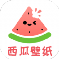 西瓜壁纸助手app免费版 v1.0.0