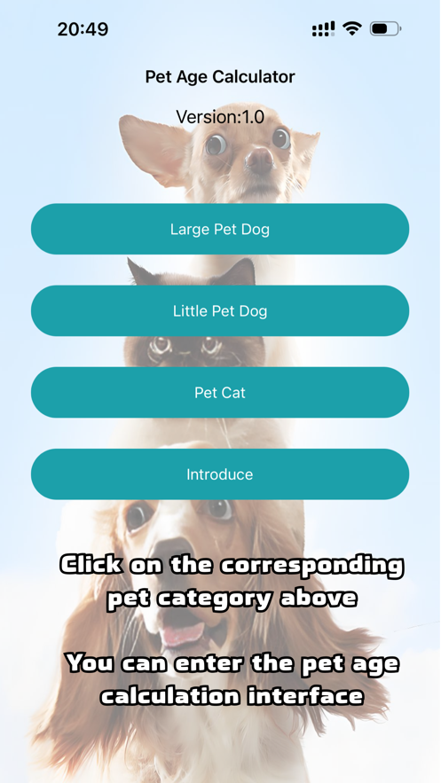 宠物年龄计算影视app免费版图片1