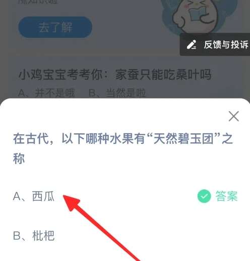 在古代，以下哪种水果有天然碧玉团之称 蚂蚁庄园8.14答案最新[多图]图片2