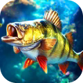 Fishing Master免实名认证内置菜单版（欢乐钓鱼大师） v1.0.0.61221