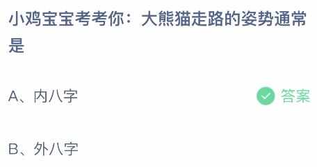 大熊猫走路的姿势通常是 蚂蚁庄园8月16日正确答案[多图]图片2