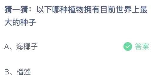 以下哪种植物拥有目前世界上最大的种子 蚂蚁庄园​8.19最新答案详解[多图]