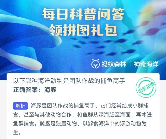 以下哪种海洋动物是团队作战的捕鱼高手 支付宝神奇海洋8月5日正确答案[多图]图片1