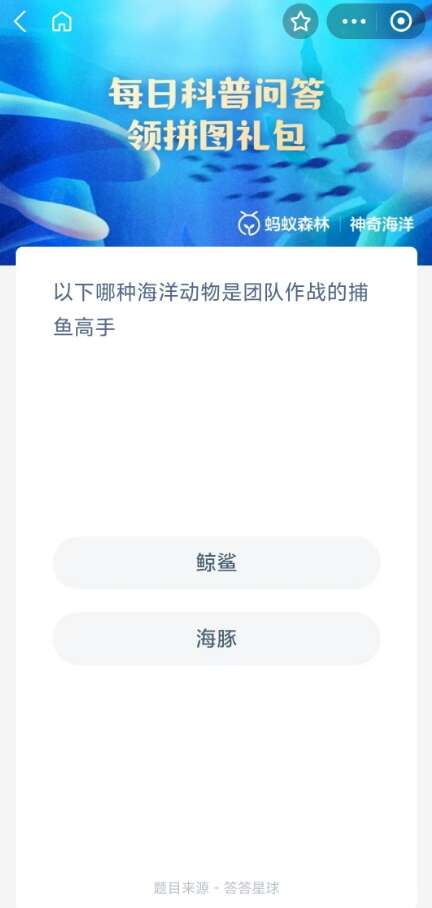 以下哪种海洋动物是团队作战的捕鱼高手 支付宝神奇海洋8月5日正确答案[多图]图片2